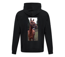 Load image into Gallery viewer, Hoodies
