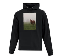 Load image into Gallery viewer, Hoodies
