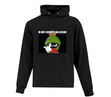 Load image into Gallery viewer, Hoodies
