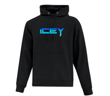 Load image into Gallery viewer, Hoodies
