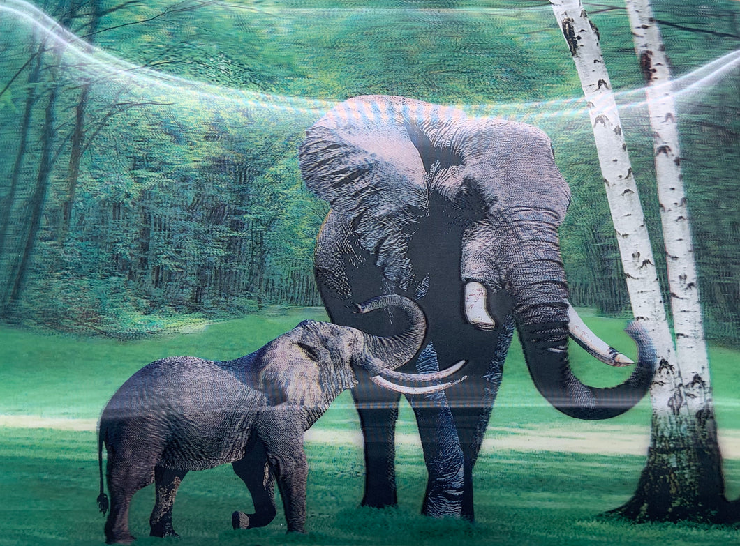 3D Poster - Elephant